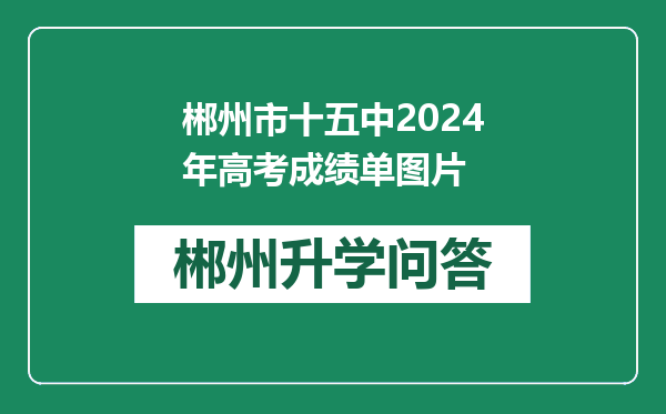 郴州市十五中2024年高考成绩单图片