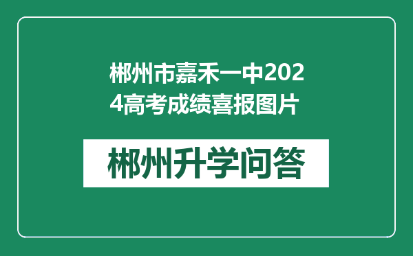 郴州市嘉禾一中2024高考成绩喜报图片