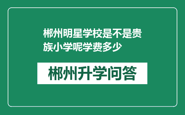 郴州明星学校是不是贵族小学呢学费多少