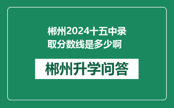 郴州2024十五中录取分数线是多少啊