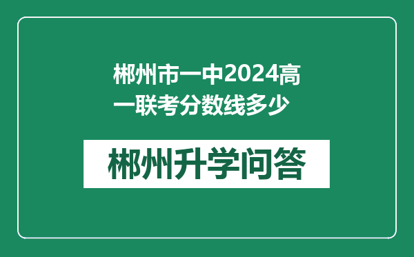 郴州市一中2024高一联考分数线多少
