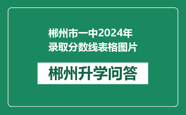 郴州市一中2024年录取分数线表格图片