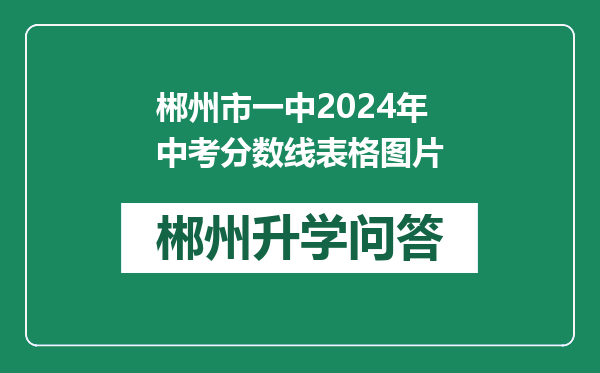 郴州市一中2024年中考分数线表格图片