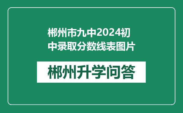 郴州市九中2024初中录取分数线表图片
