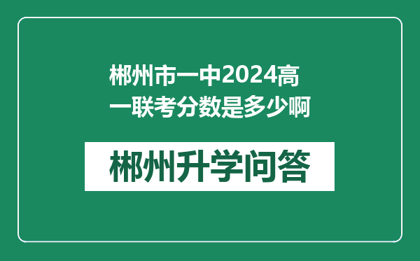 郴州市一中2024高一联考分数是多少啊