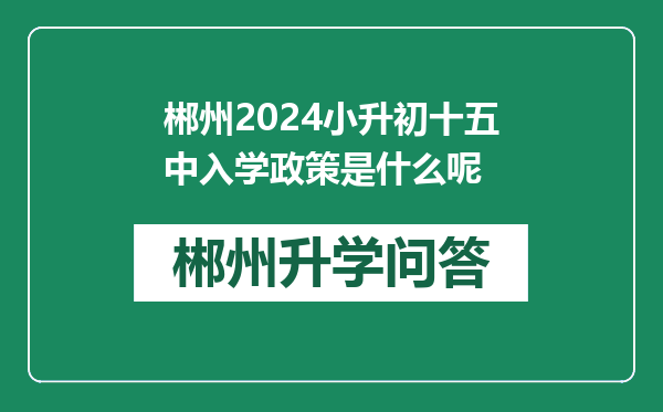郴州2024小升初十五中入学政策是什么呢