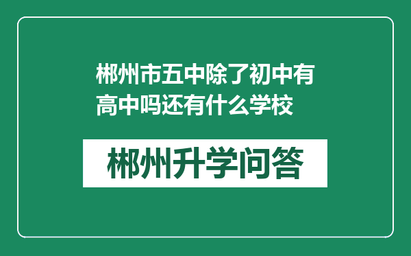 郴州市五中除了初中有高中吗还有什么学校