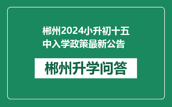 郴州2024小升初十五中入学政策最新公告