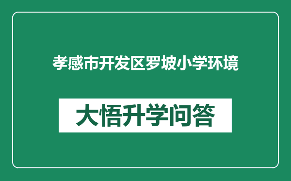 孝感市开发区罗坡小学环境