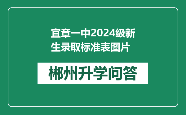 宜章一中2024级新生录取标准表图片