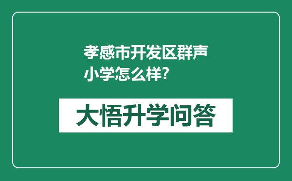 孝感市开发区群声小学怎么样？