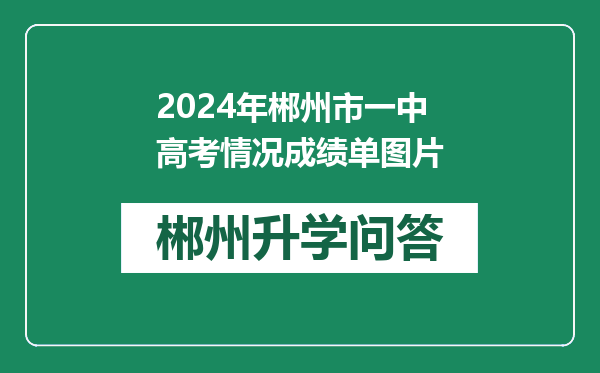 2024年郴州市一中高考情况成绩单图片