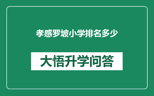 孝感罗坡小学排名多少