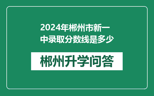 2024年郴州市新一中录取分数线是多少