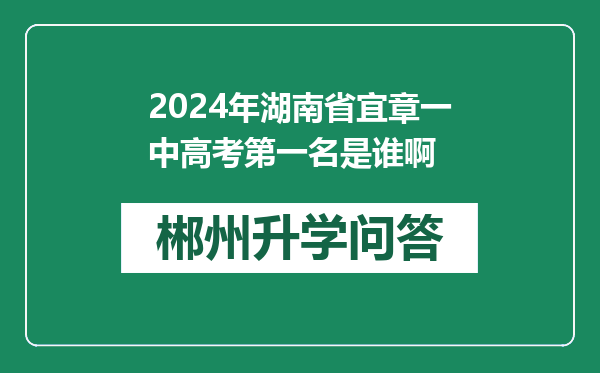 2024年湖南省宜章一中高考第一名是谁啊