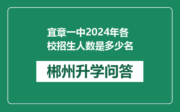 宜章一中2024年各校招生人数是多少名