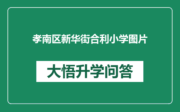 孝南区新华街合利小学图片