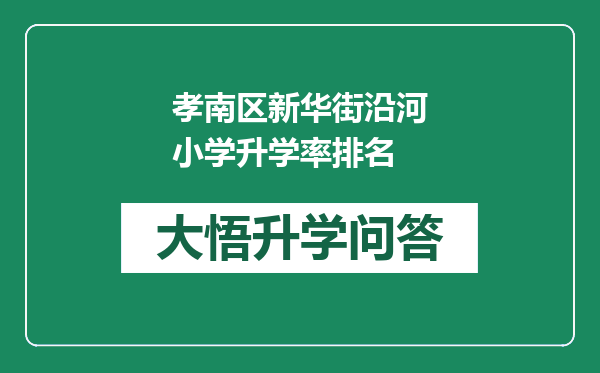 孝南区新华街沿河小学升学率排名