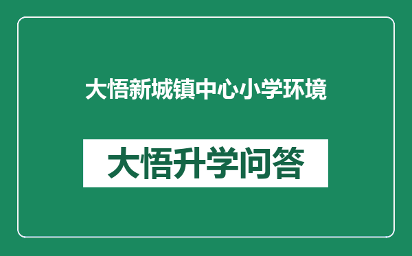 大悟新城镇中心小学环境