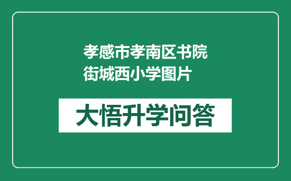 孝感市孝南区书院街城西小学图片