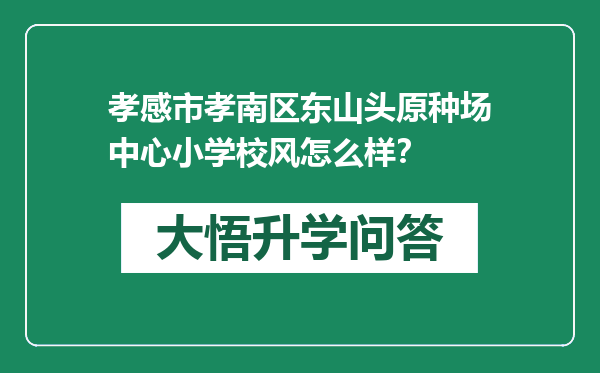 孝感市孝南区东山头原种场中心小学校风怎么样？