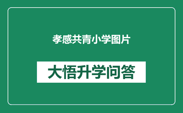 孝感共青小学图片