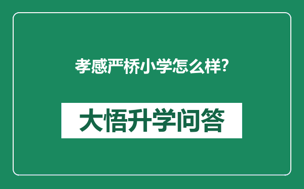 孝感严桥小学怎么样？