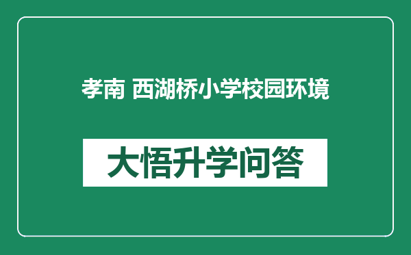 孝南 西湖桥小学校园环境
