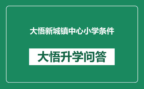 大悟新城镇中心小学条件
