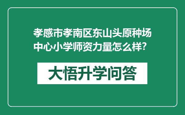 孝感市孝南区东山头原种场中心小学师资力量怎么样？