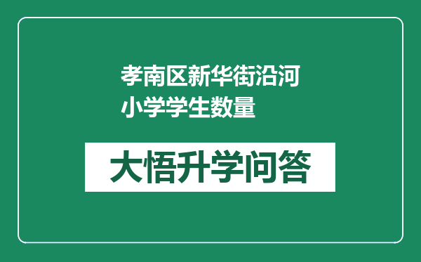 孝南区新华街沿河小学学生数量