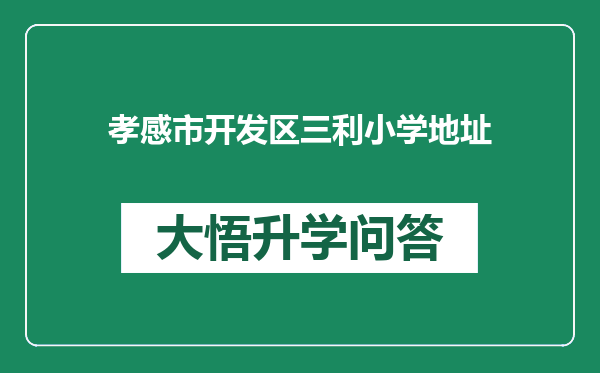 孝感市开发区三利小学地址