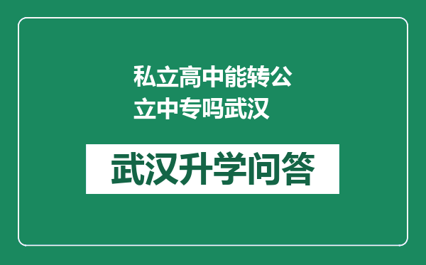 私立高中能转公立中专吗武汉
