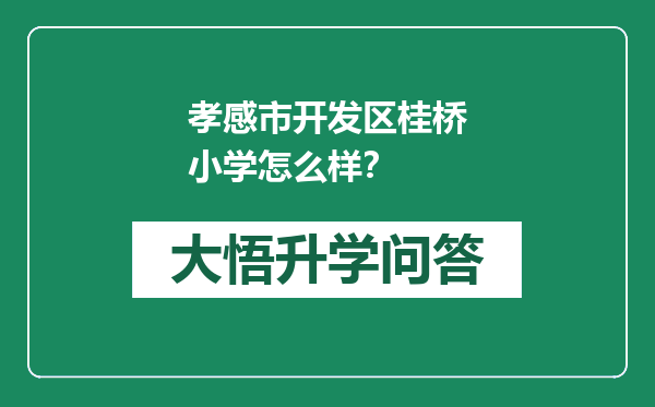 孝感市开发区桂桥小学怎么样？