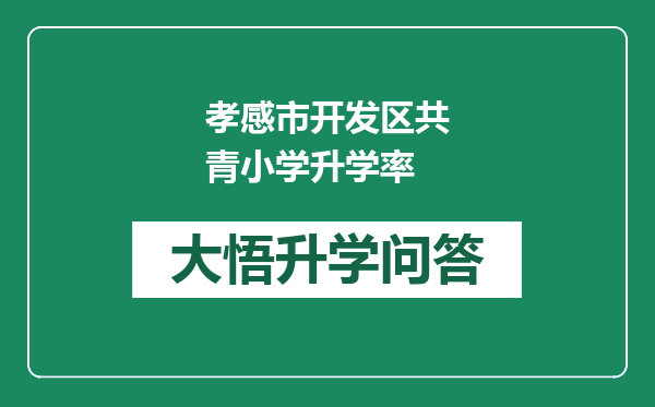 孝感市开发区共青小学升学率