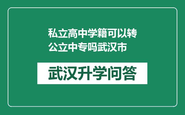 私立高中学籍可以转公立中专吗武汉市