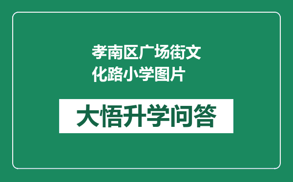 孝南区广场街文化路小学图片