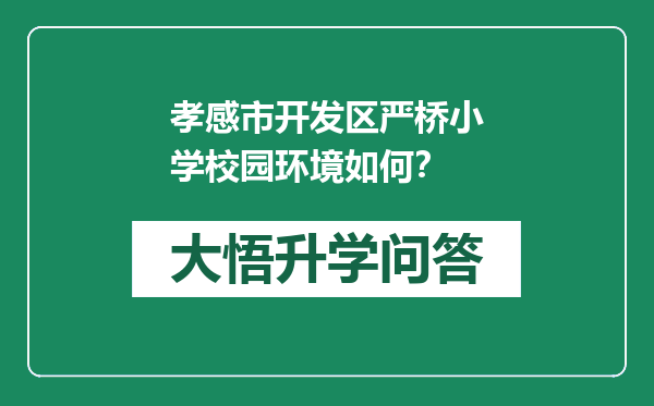 孝感市开发区严桥小学校园环境如何？