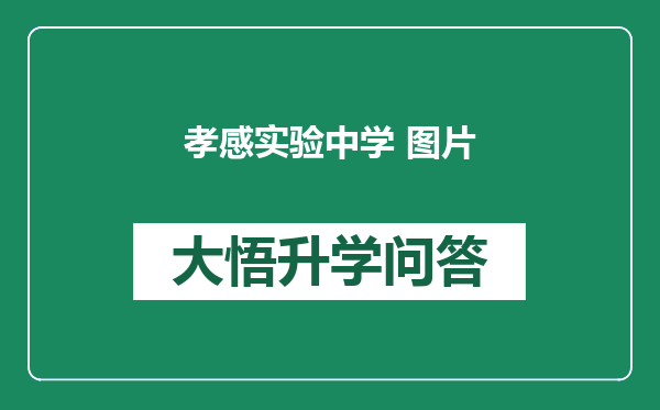 孝感实验中学 图片