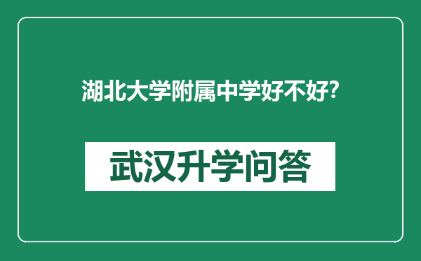湖北大学附属中学好不好？