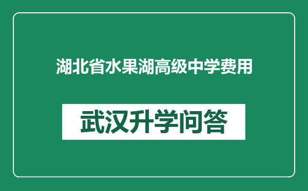 湖北省水果湖高级中学费用