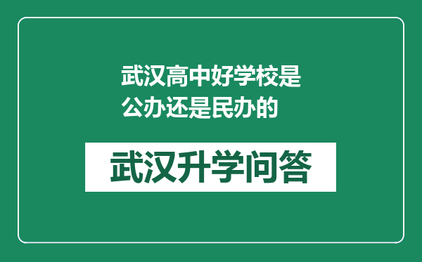 武汉高中好学校是公办还是民办的