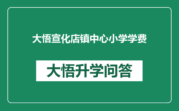 大悟宣化店镇中心小学学费