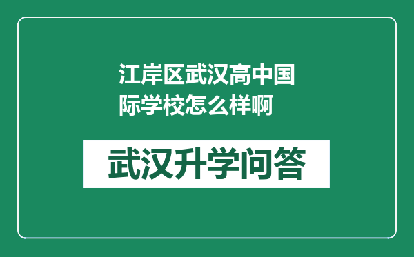 江岸区武汉高中国际学校怎么样啊