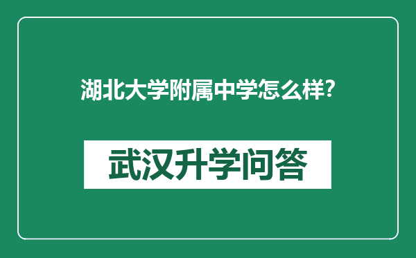 湖北大学附属中学怎么样？