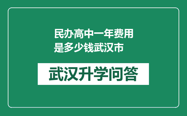 民办高中一年费用是多少钱武汉市