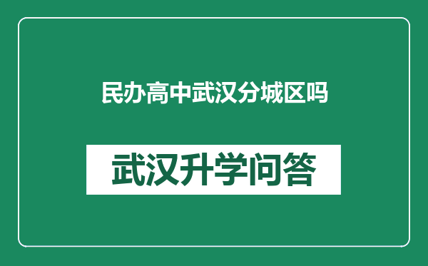 民办高中武汉分城区吗