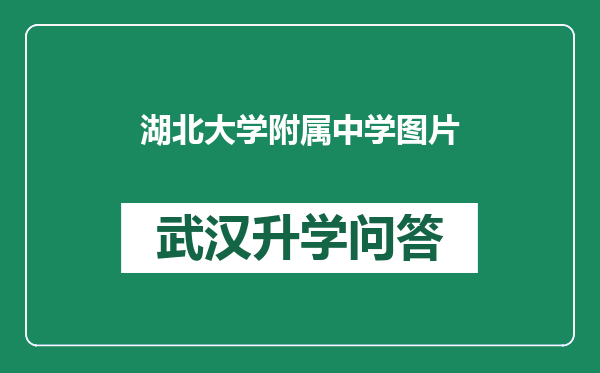 湖北大学附属中学图片