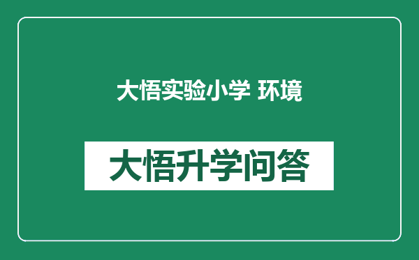 大悟实验小学 环境