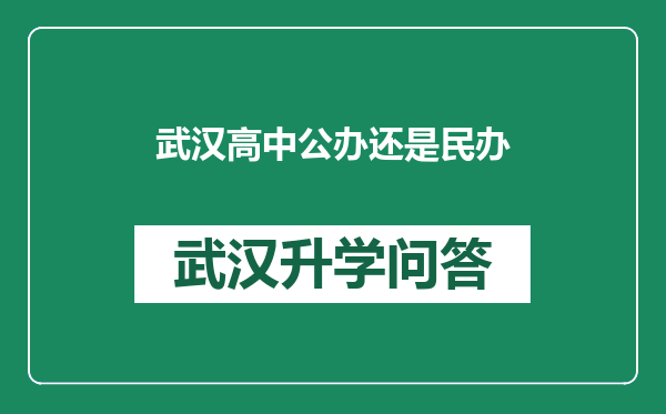 武汉高中公办还是民办